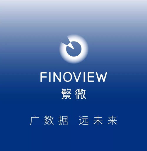 天气担忧引发美豆飙涨，网站建设及维护服务的启示