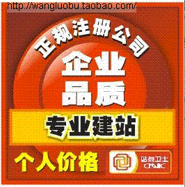 网站建设及维护服务 打造您的优质在线门面