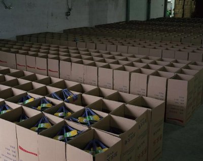 最后的守望 我家四十载的自梳女保姆