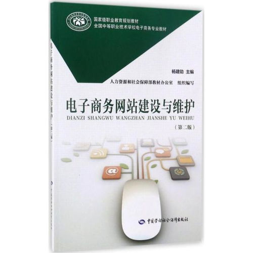 电子商务网站建设与维护（第二版） 全面解析网站建设及维护服务